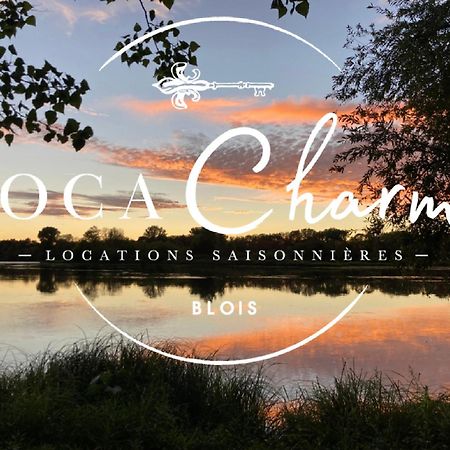 "Gite Le Relais Viennois" Vue Sur Loire & Linge Inclus Blois Kültér fotó